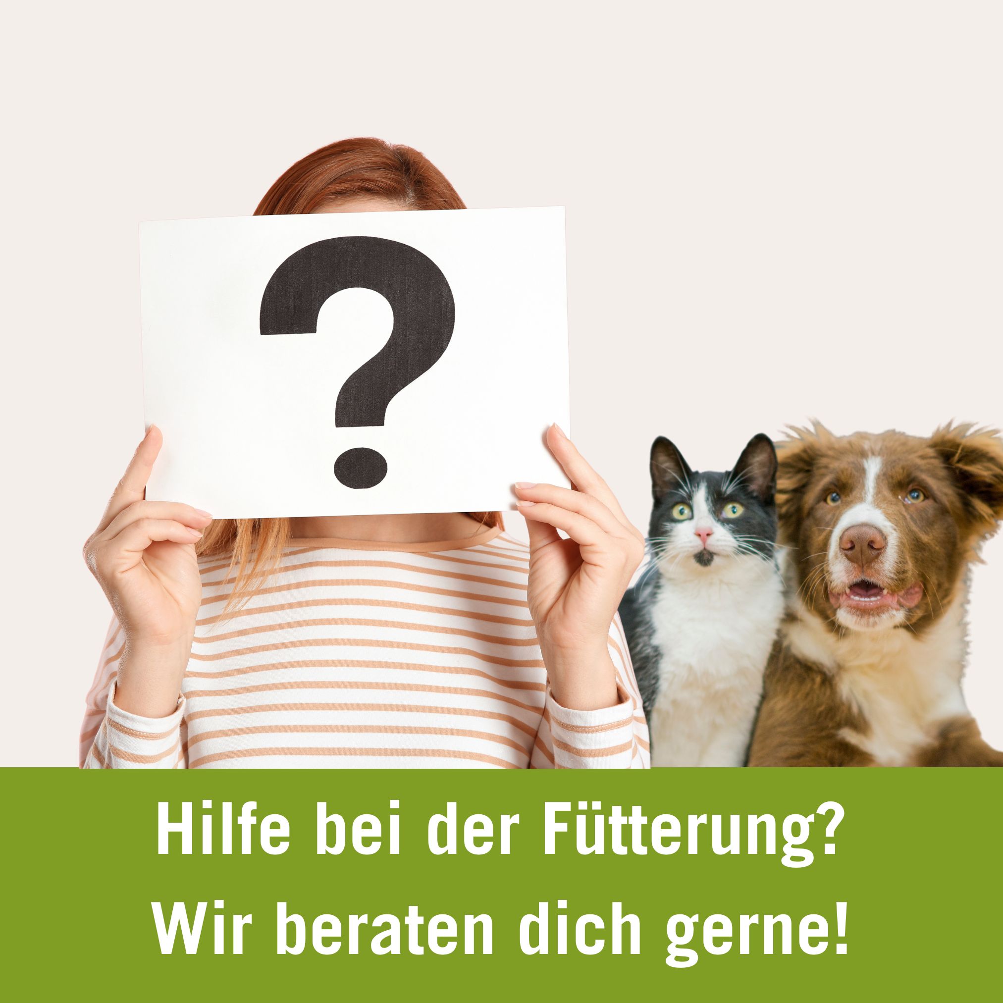 ernährungsberatung hund katze