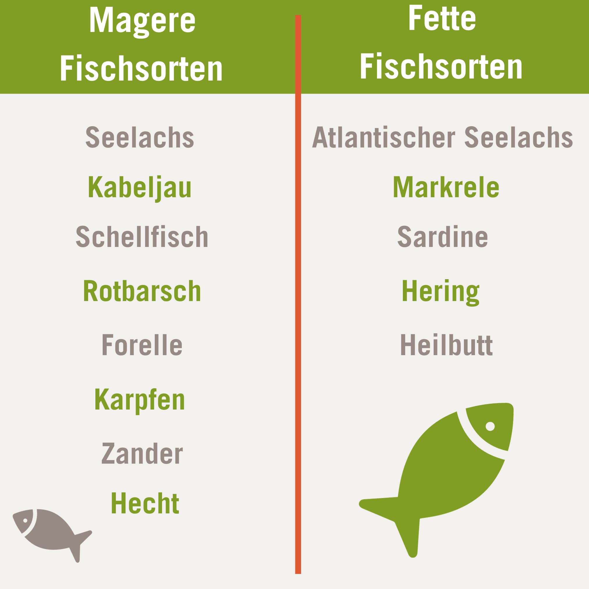 fisch für hunde welcher fisch ist gut