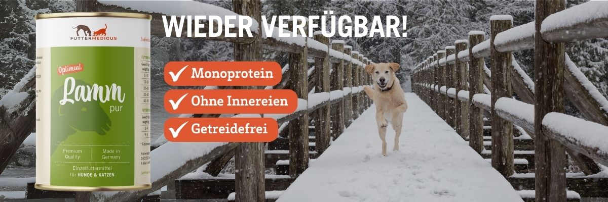 Optimeal Lamm pur - Monoprotein, Getreidefrei, ohne Innereien | rennender Hund auf verschneiter Brücke