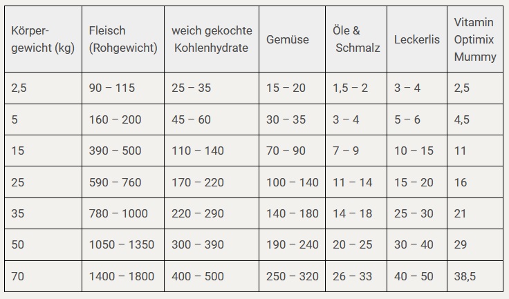 Trächtige Hündin richtig barfen I Rezept ab der 5. Woche